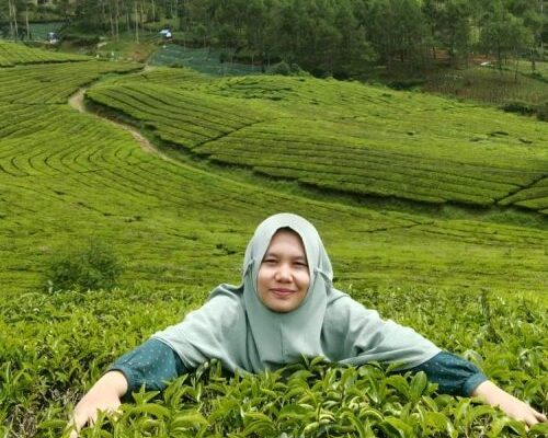 Menakar Maksud Prabowo soal Peluang RI Akui Israel,… Menakar Maksud Prabowo soal Peluang RI Akui Israel,...