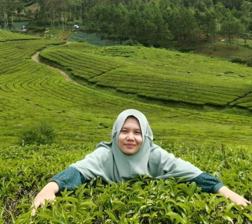 Menakar Maksud Prabowo soal Peluang RI Akui Israel,...