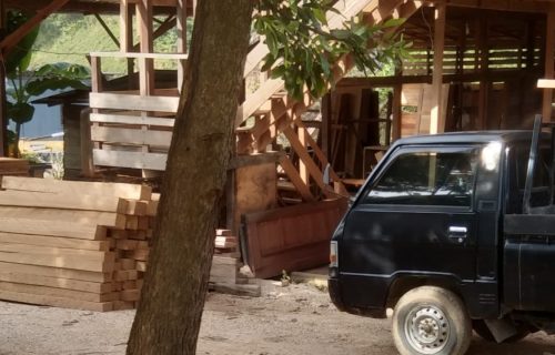 Polres Berau Diminta Sikapi Dugaan Pembalakan Kayu Ilegal