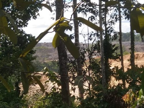 Jalan Lintas Provinsi Kalimantan Timur Terancam Putus,...