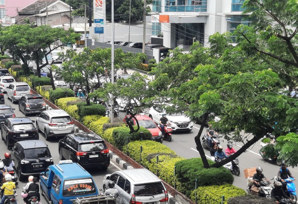 HUT ke – 27 Kota Depok, DLH Lakukan Penanaman Pohon...