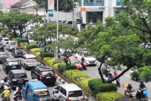 HUT ke – 27 Kota Depok, DLH Lakukan Penanaman Pohon...