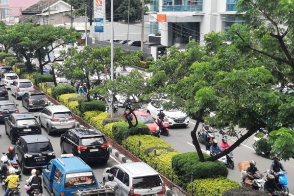 HUT ke – 27 Kota Depok, DLH Lakukan Penanaman Pohon...