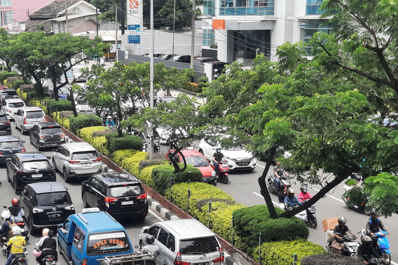 HUT ke – 27 Kota Depok, DLH Lakukan Penanaman Pohon...
