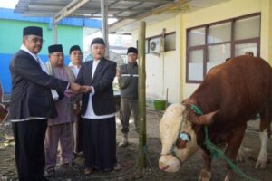 Pemkab. Sukabumi Salurkan 322 Ekor Hewan Kurban Pada...