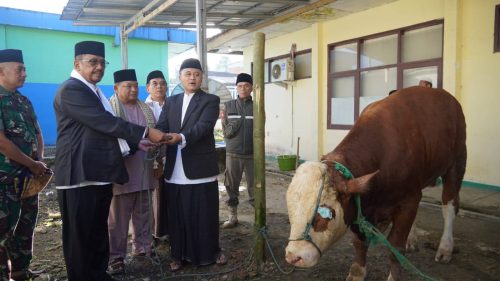 Pemkab. Sukabumi Salurkan 322 Ekor Hewan Kurban Pada...