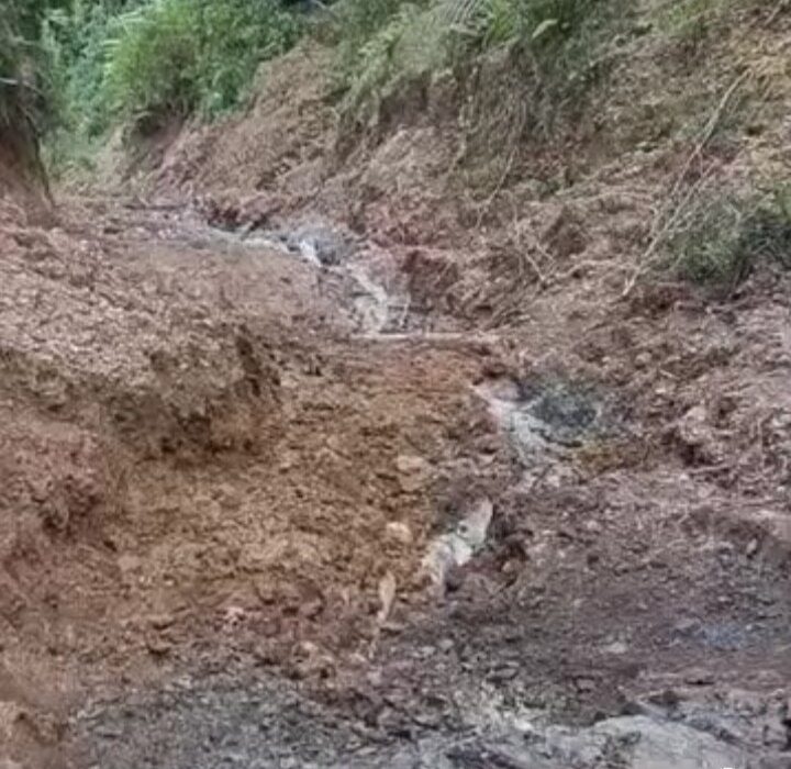 Jalur Malinau – Krayan : Jalan Derita Warga Perbatasan...