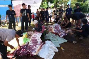Pemkot Sukabumi Terima Bantuan Hewan Kurban 6,7 Ton dari...