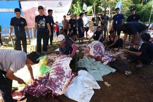 Pemkot Sukabumi Terima Bantuan Hewan Kurban 6,7 Ton dari...