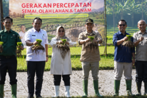 Sukabumi Didorong Jadi Lumbung Padi Nasional, Kementan...