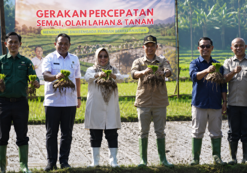 Sukabumi Didorong Jadi Lumbung Padi Nasional, Kementan...