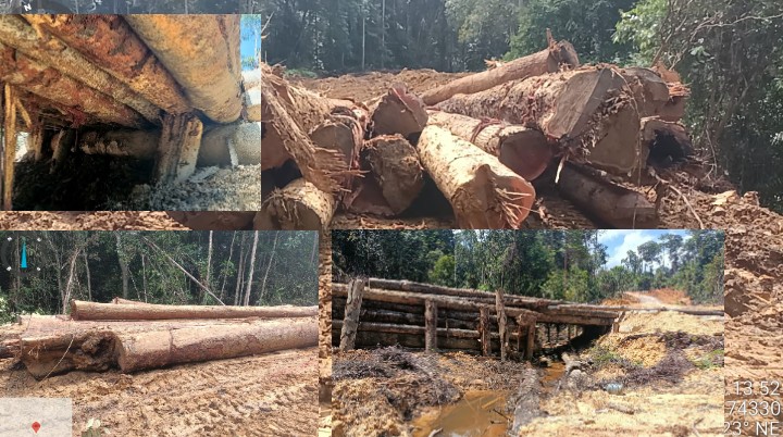 Diduga Beroperasi di Luar RKT, Aktivitas Penebangan Kayu...