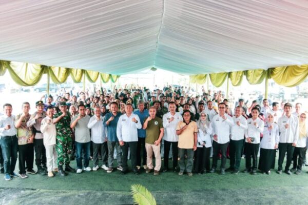 Gerakan Tanam Hingga Panen Padi Organik, Sekda Ciamis,...